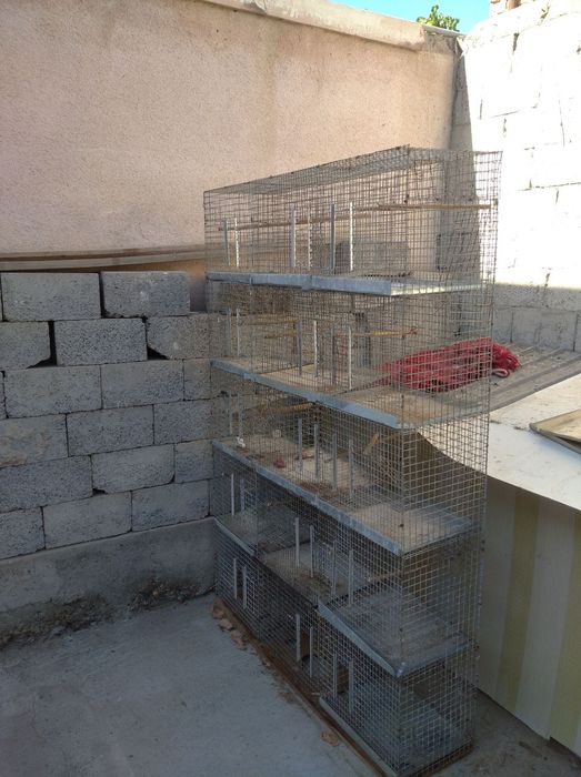 Клетки для попугаев