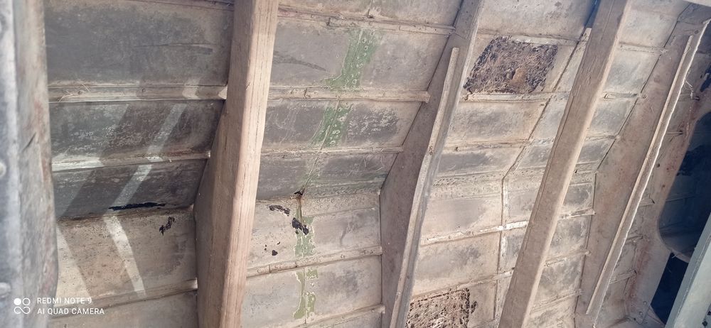 Lotka Voronij sotiladi