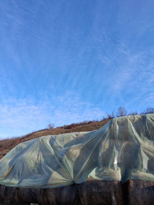 Baloți de lucernă.