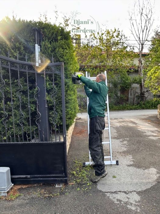 Косене на високи и ниски треви, поддръжка на градини, изграждане
