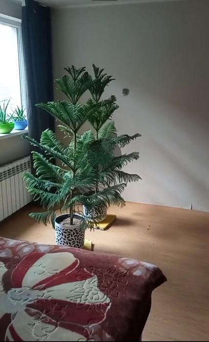 Аренда отличного помещения под цех или склад