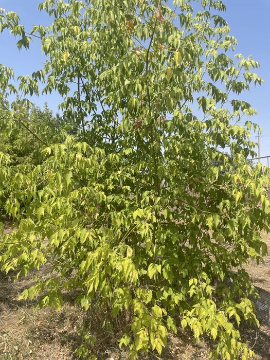 Продам участок земли