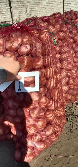 Продам картофель