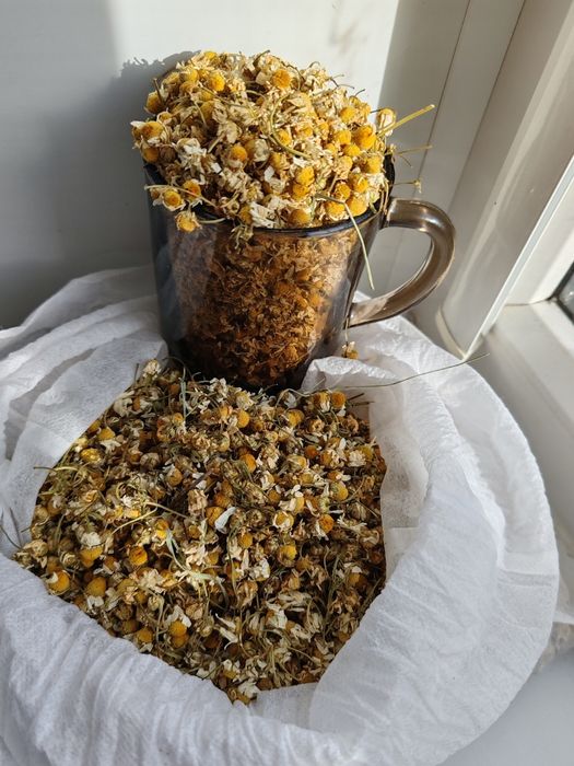 Ромашка сухая дачная