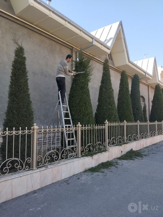 Gazon lanshaft xizmati bor