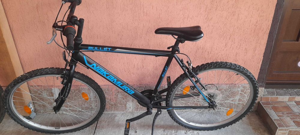 Bicicleta adulti