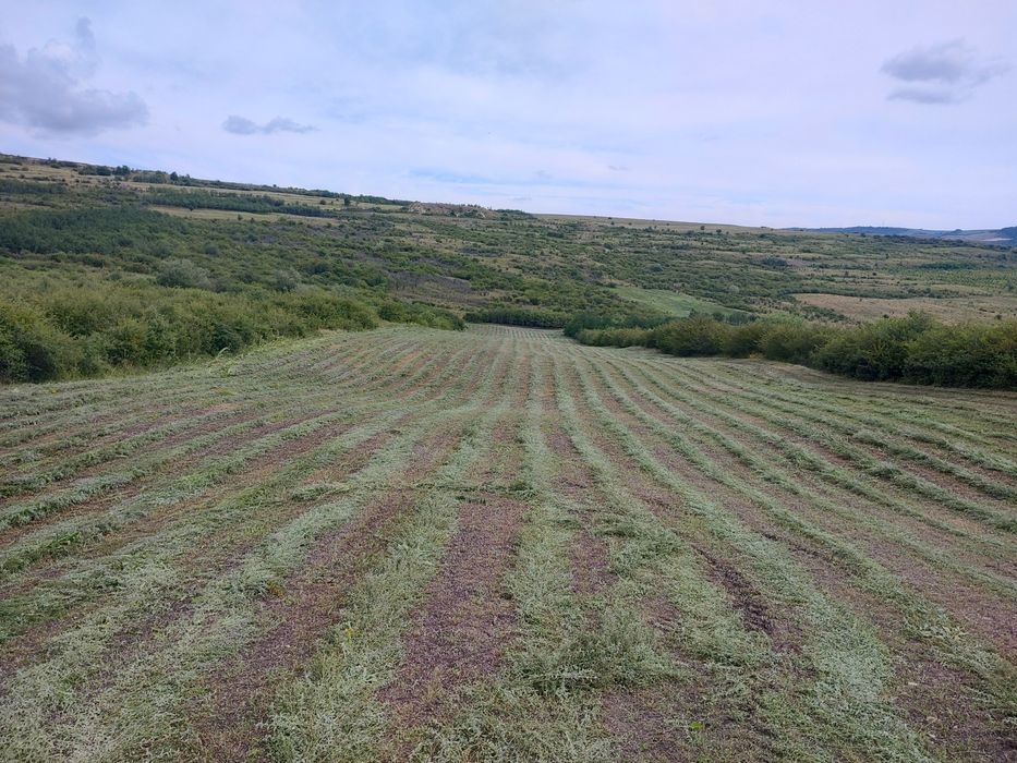 Teren extravilan
