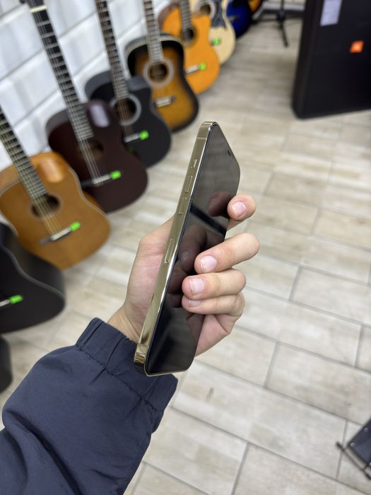 iPhone 12 Pro Max 256