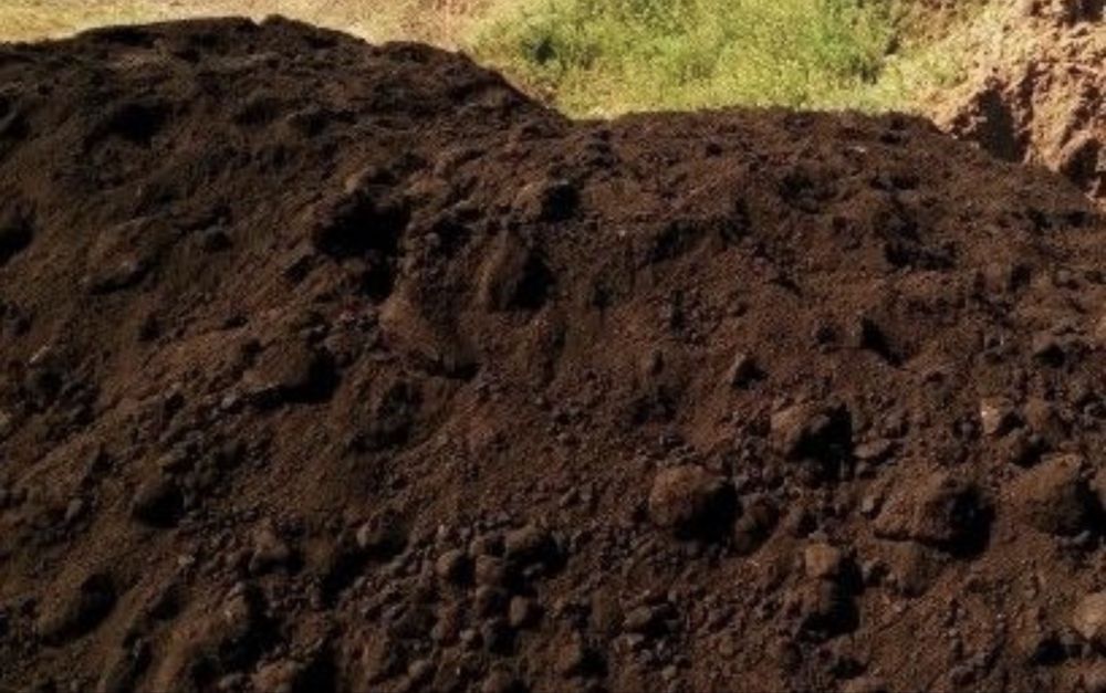 Пререгной Чернозем отличного качество