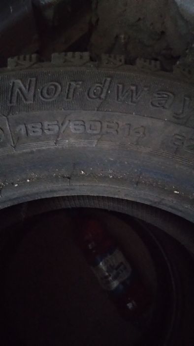 Продаётся tunga nordway