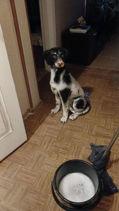 Продам статуетку собака