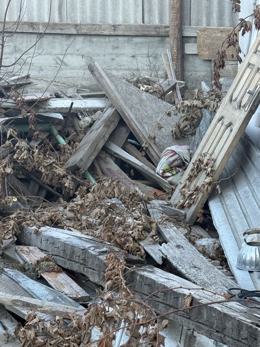 Агаш бесплатно тегин ,