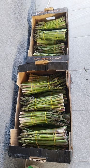 Vind coroane sparanghel