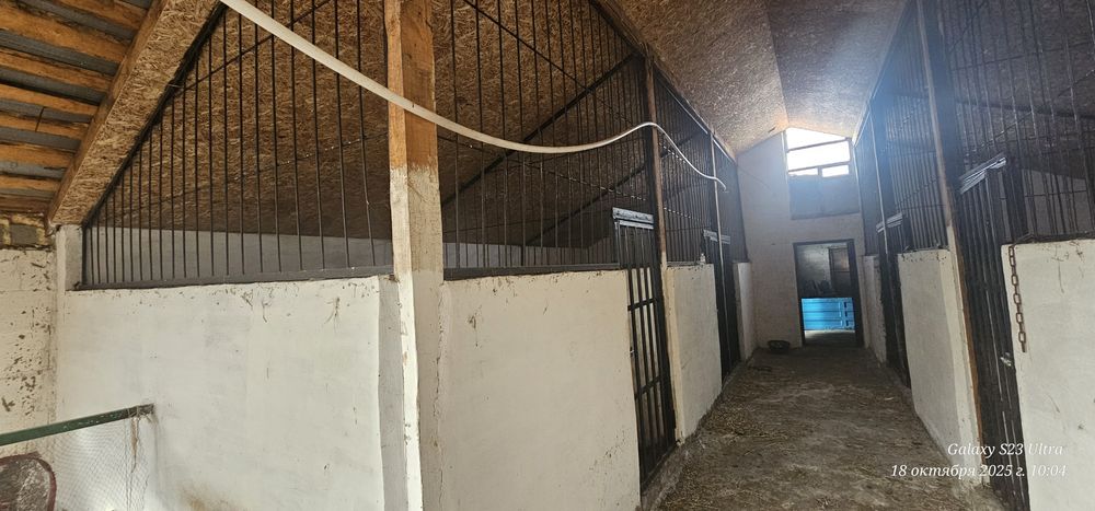 Продам животноводческую базу