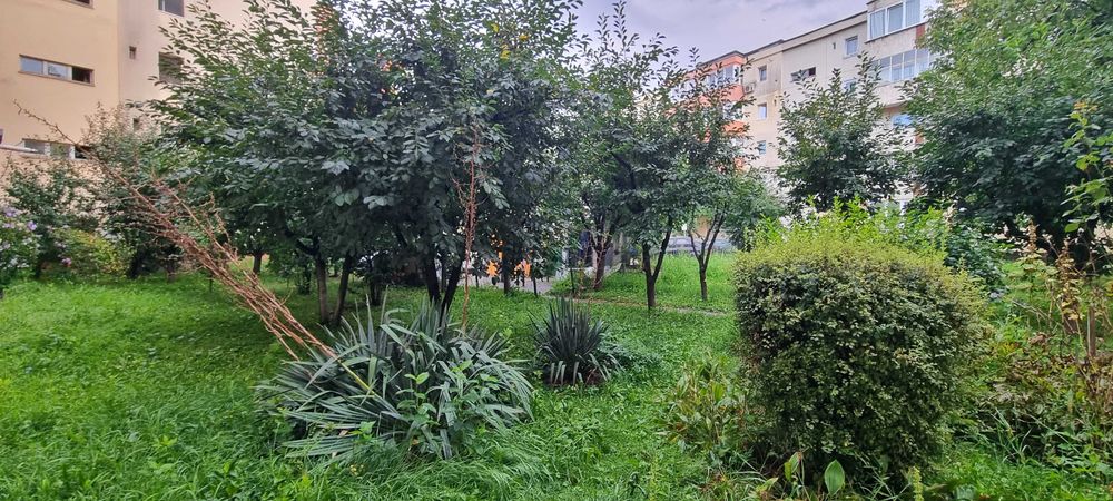 UNTOLD 2026 | 5-6 min de Cluj Arena | Apartament 2 persoane