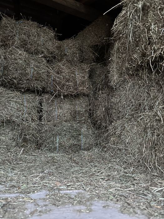 Baloti de otava vanzare