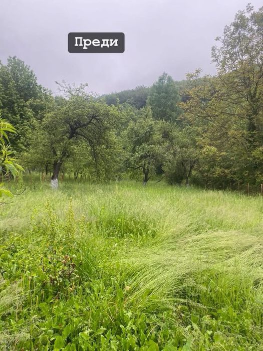 Косене и поддръжка на имоти