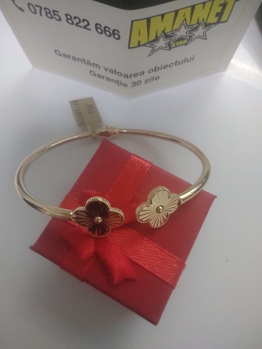 Bratara fixa aur 14k (efn)