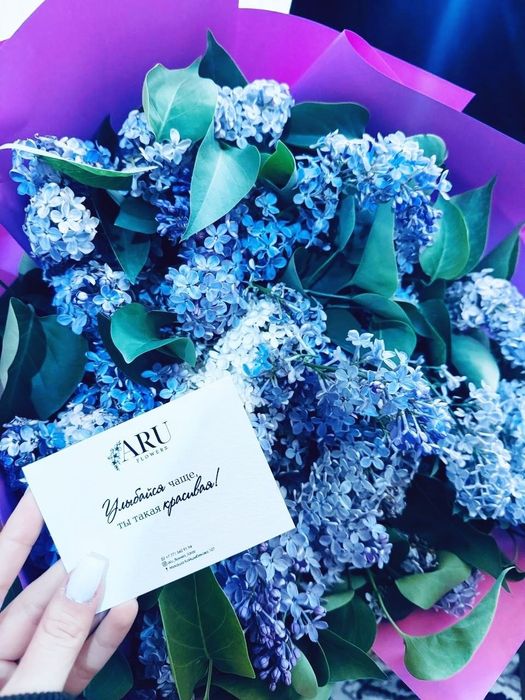 Красивые сирень.