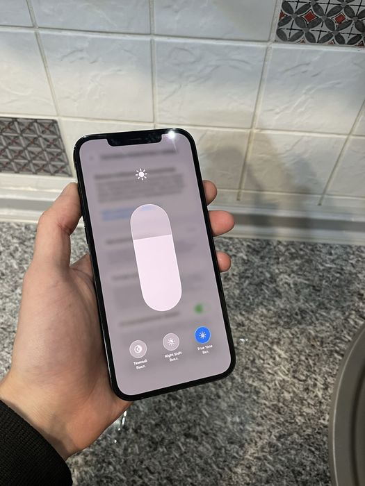 Iphone 12 pro max (256 gb)