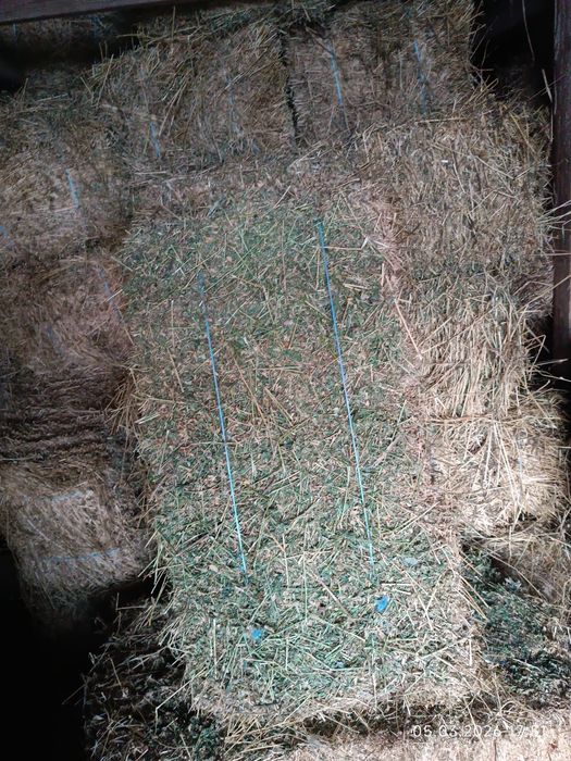 Baloti de lucerna de vanzare