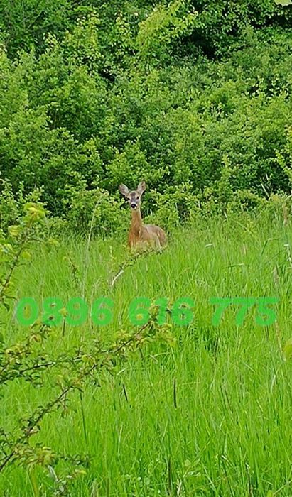 Продава се Къща в с. Панчарево, Област София-град - 360 кв.м за 2223 €/кв.м - Снимка #8