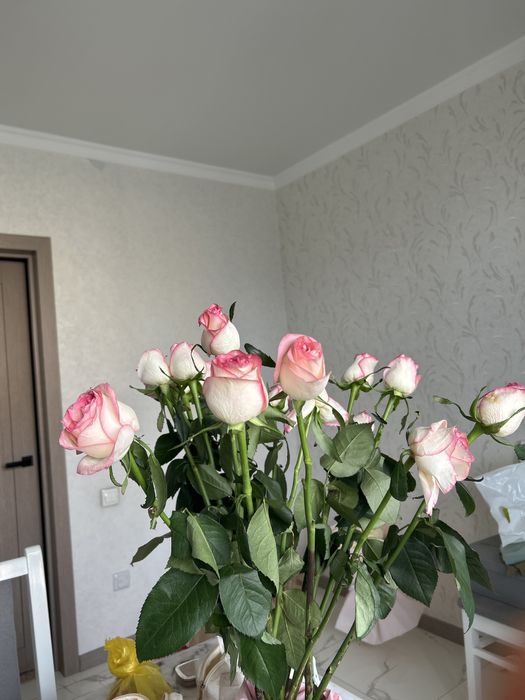 Цветы голандские розы
