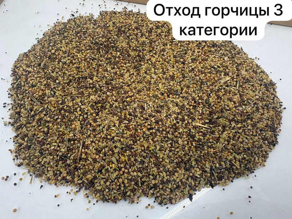 Продажа отходов горчицы и чечевицы