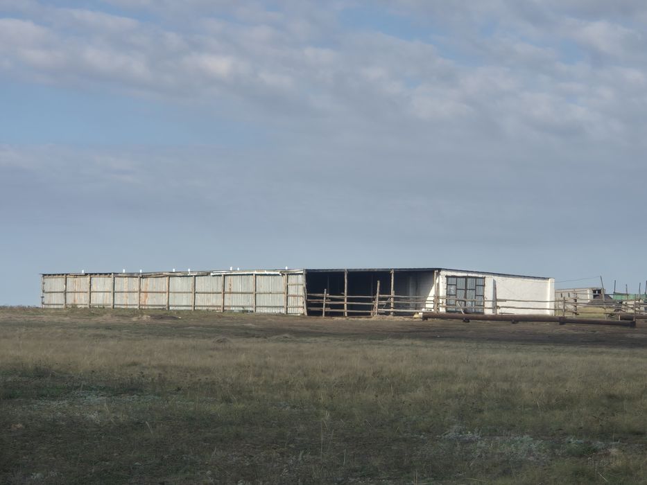 Продам крестьянское хозяйство
