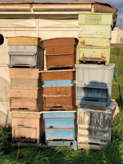 Пчелни кошери ДБ