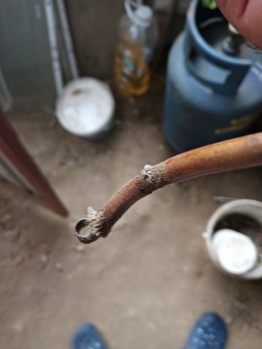 Bobina drujba că 100 dolmar