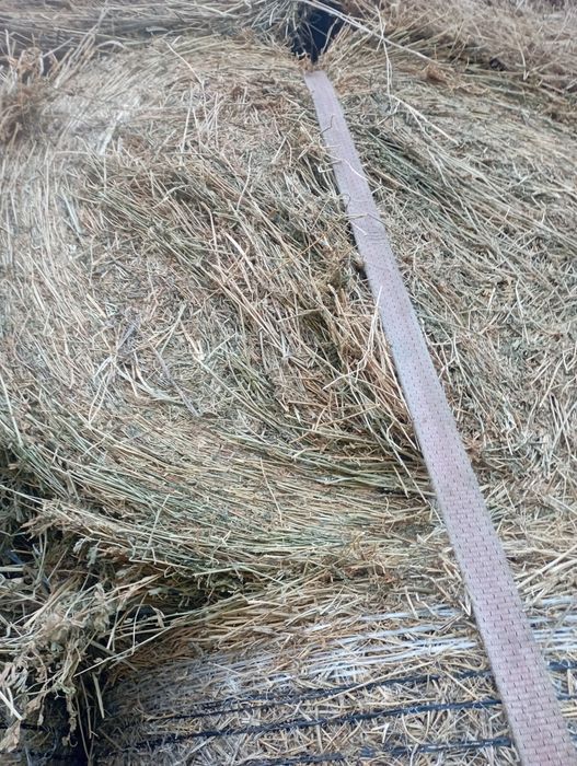 Baloți de lucernă de vânzare