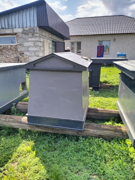 Продам собачие будки