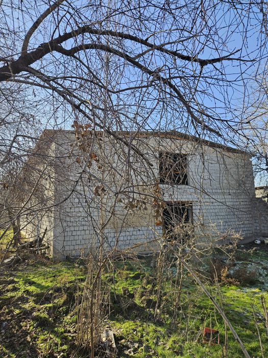 Молхона, уй кадастр бор