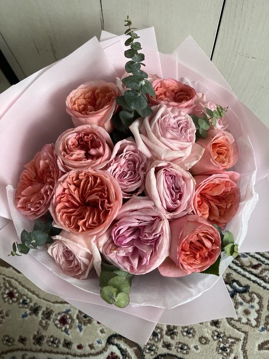 продам цветы свежие