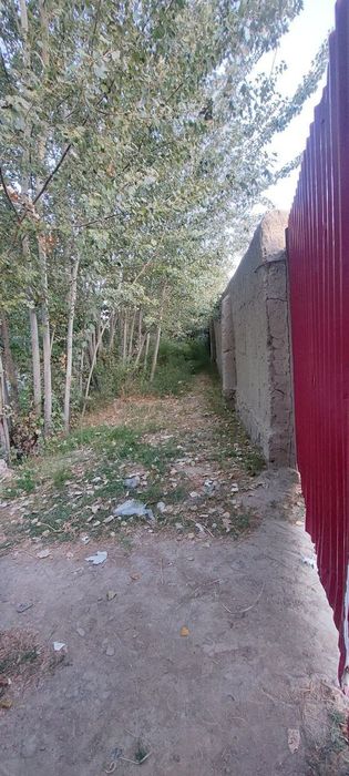 Turar joy (issiqxona)