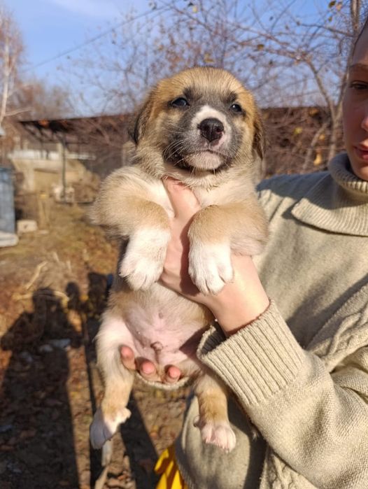 Кому ЗвонОчкоВ и СтороЖей