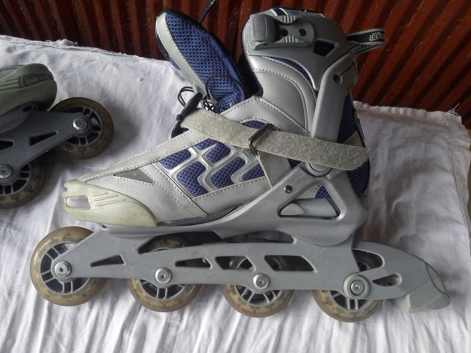 Ройлери 44 номер