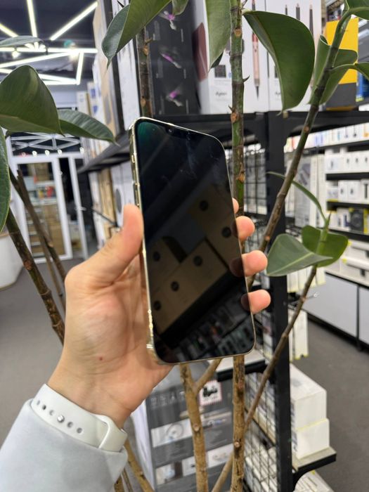 IPhone 13 Pro Max / 256 Gb