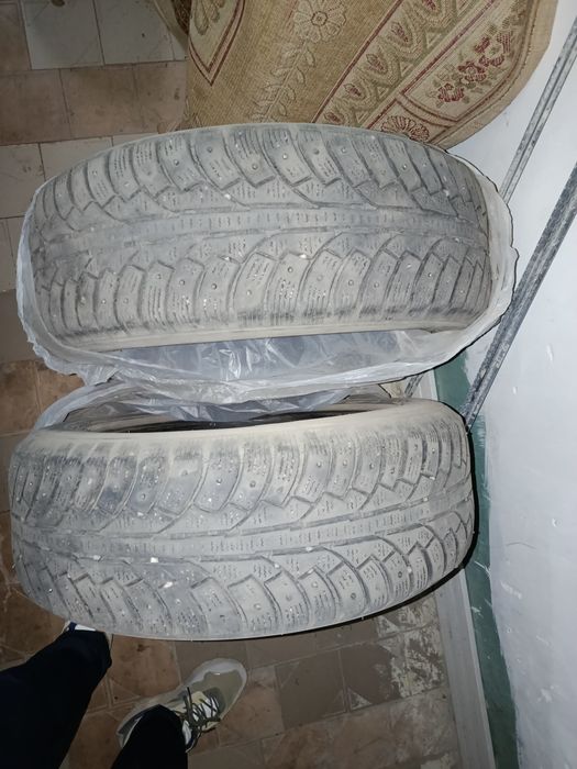 Зимние шины шипованные