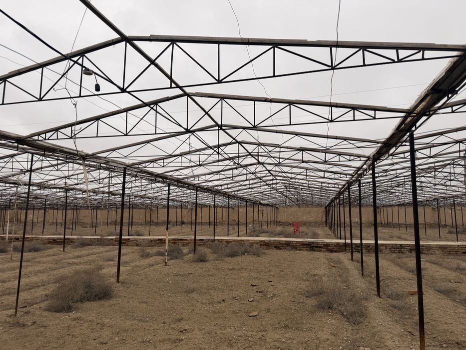 фирма                 иииииииииииии