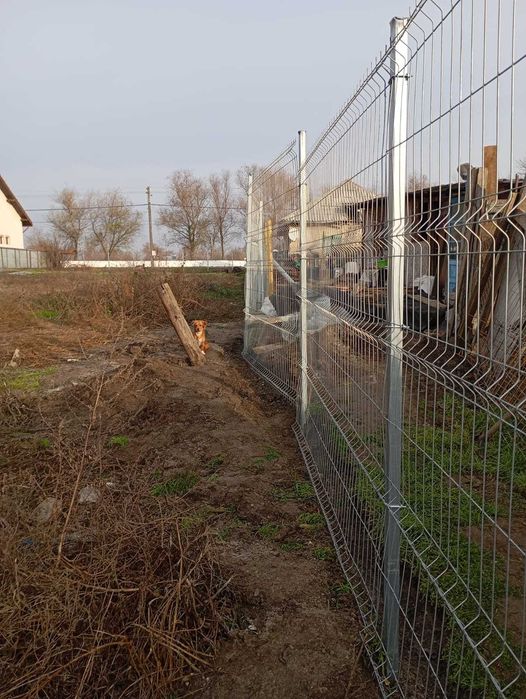 Vand Teren Delta Dunarii in Crisan, Tulcea