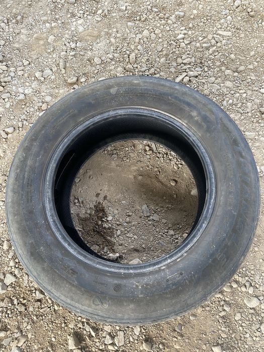 Донгелек сатамын жазғы