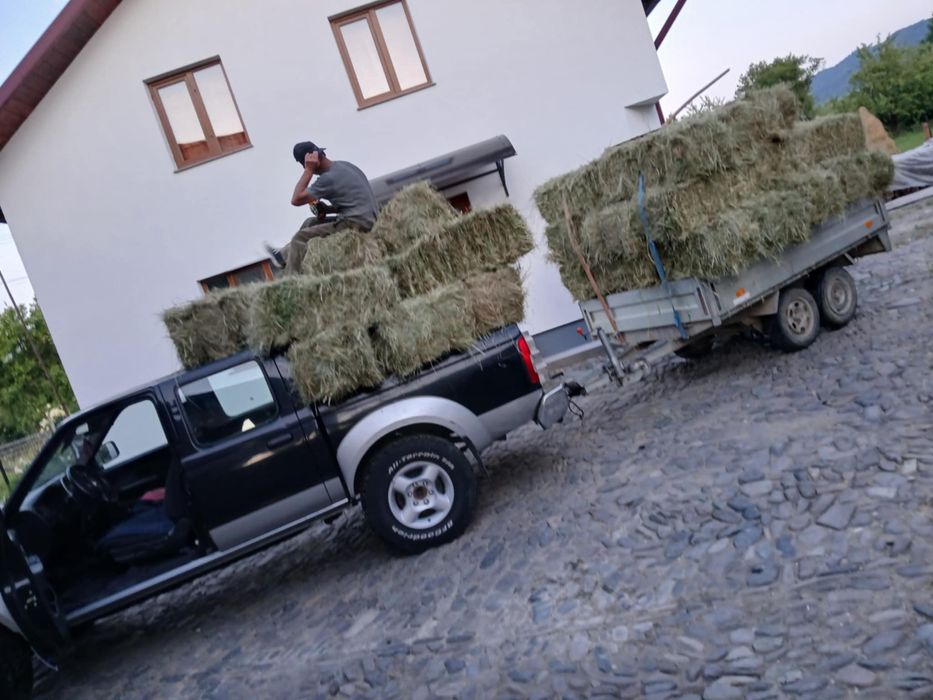 Baltoi de fan! 18 lei buc