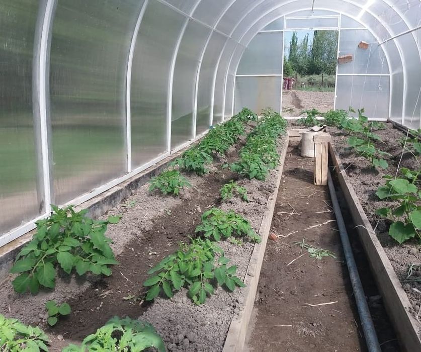 Казанский сотовый поликарбонат