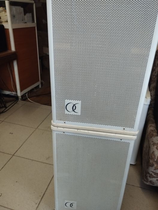 AUDIOPHONY S10W 10 инчови топове