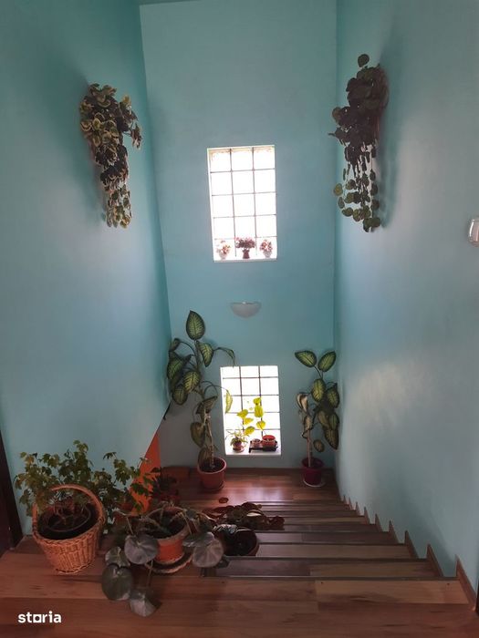 Casă separată cu 3 camere în Oradea