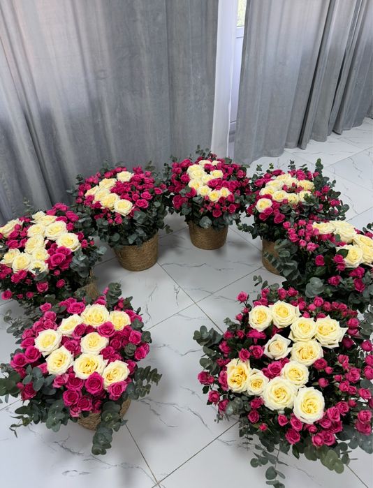 АЛМАТЫ цветы продаю срочно