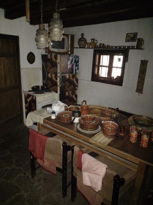 Дава се под наем Къща в с. Тученица, Област Плевен - 240 кв.м за 331.5 € - Снимка #9