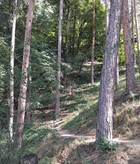 Продава се Парцел в Сапарева баня - 1400 кв.м за 108 €/кв.м - Снимка #1